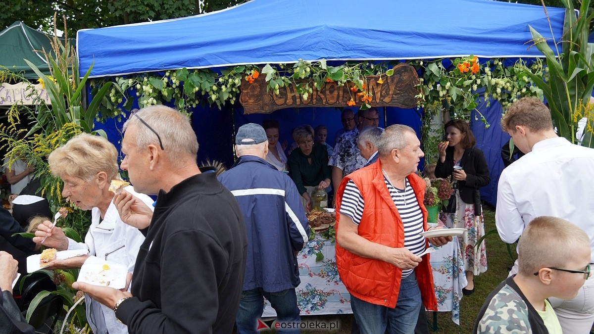 XIII Zajazd Szlachecki czyli święto plonów w Troszynie [7.09.2025] - zdjęcie #225 - eOstroleka.pl