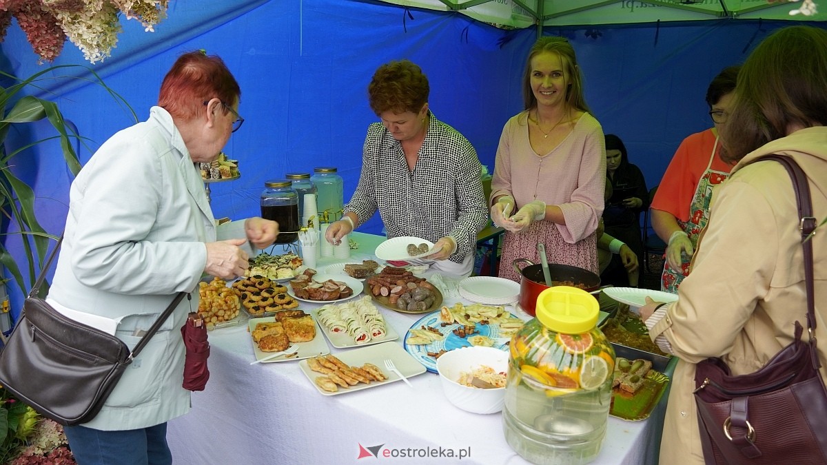 XIII Zajazd Szlachecki czyli święto plonów w Troszynie [7.09.2025] - zdjęcie #207 - eOstroleka.pl