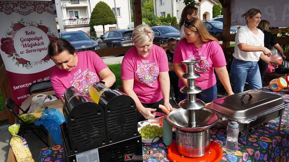 Festiwal Literackich Smaków w Czerwinie [13.09.2025] - zdjęcie #73 - eOstroleka.pl