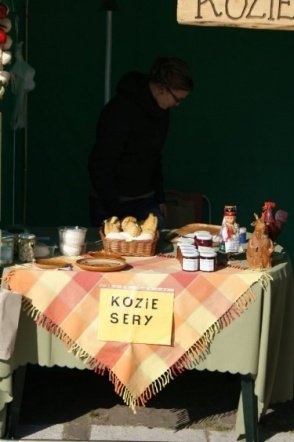 Targi Ekologiczne (05.10.2008r)  - zdjęcie #18 - eOstroleka.pl