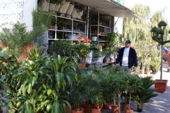 Targi Ekologiczne (05.10.2008r)  - zdjęcie #5 - eOstroleka.pl