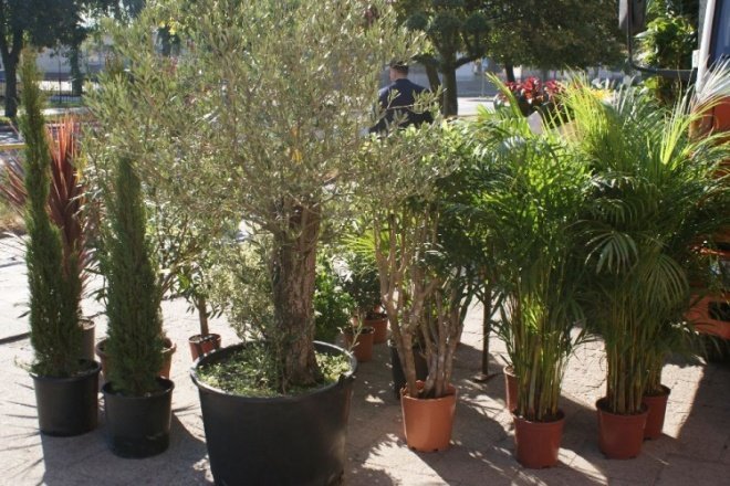 Targi Ekologiczne (05.10.2008r)  - zdjęcie #2 - eOstroleka.pl