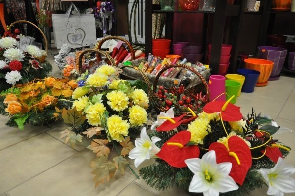 Jakie kwiaty najczęściej kupują ostrołęczanie i ile za nie płacą (21.X.2011) - zdjęcie #9 - eOstroleka.pl