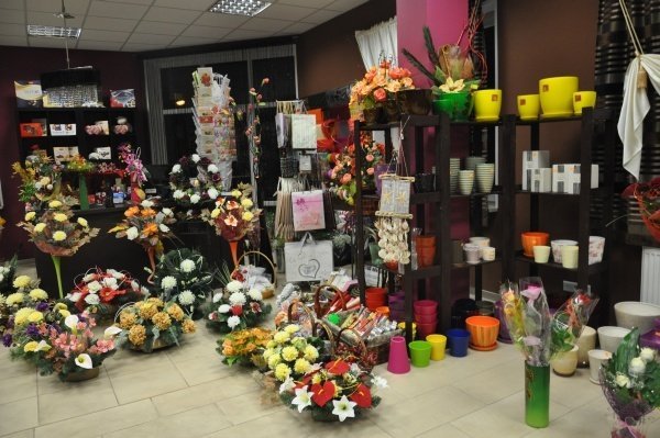 Jakie kwiaty najczęściej kupują ostrołęczanie i ile za nie płacą (21.X.2011) - zdjęcie #21 - eOstroleka.pl