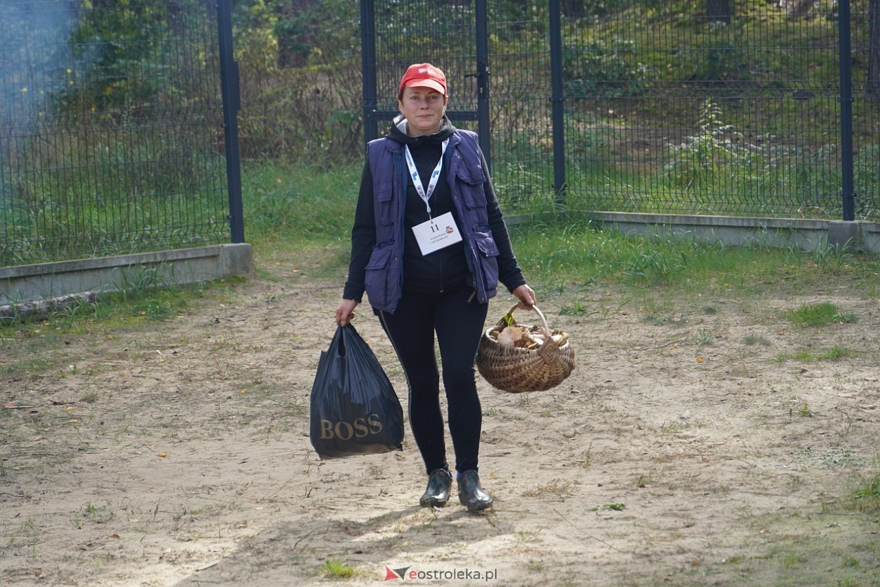 V Kurpiowskie Grzybobranie [27.09.2025] - zdjęcie #129 - eOstroleka.pl