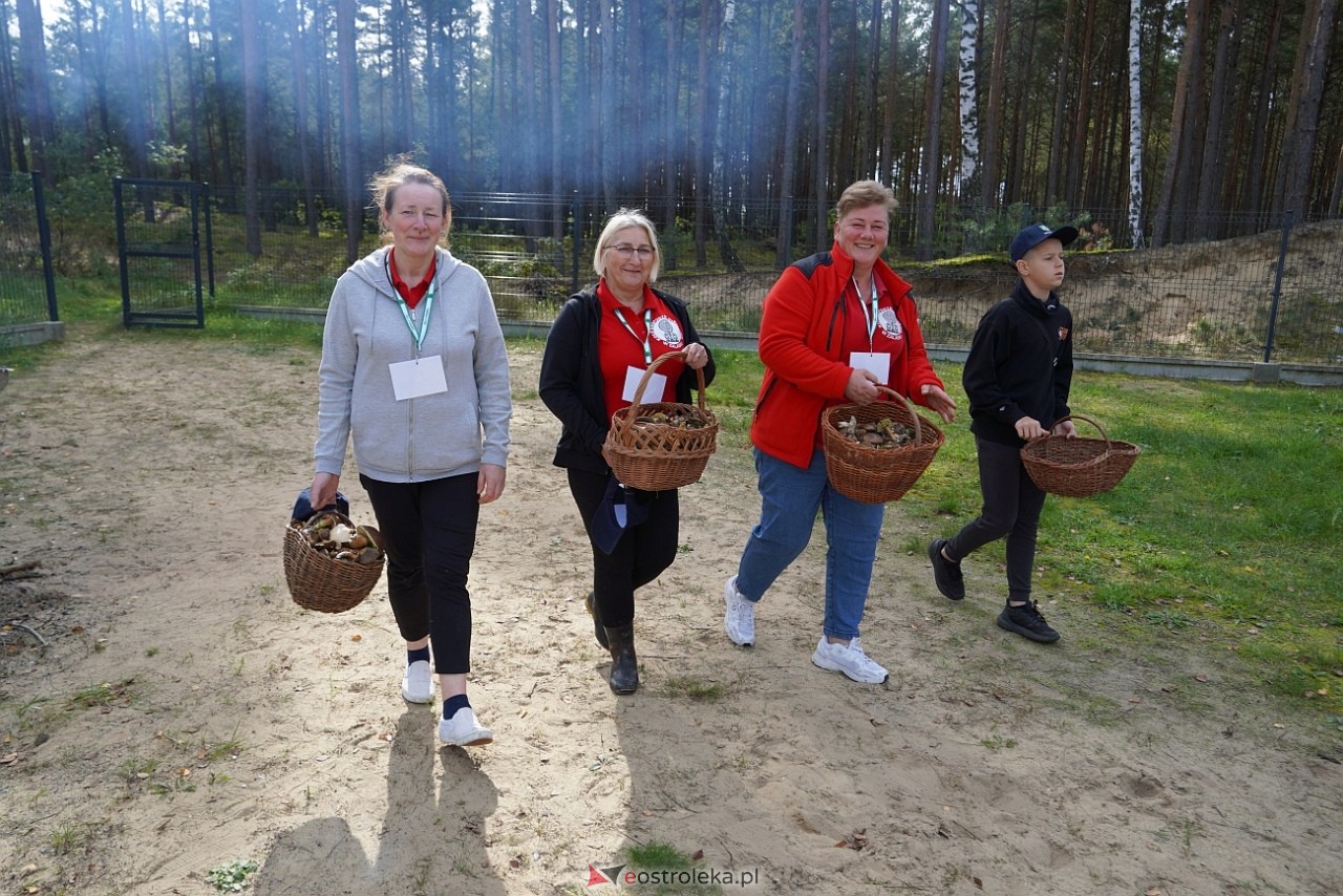 V Kurpiowskie Grzybobranie [27.09.2025] - zdjęcie #122 - eOstroleka.pl