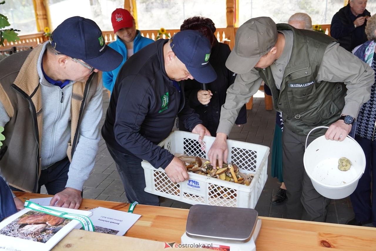 V Kurpiowskie Grzybobranie [27.09.2025] - zdjęcie #121 - eOstroleka.pl