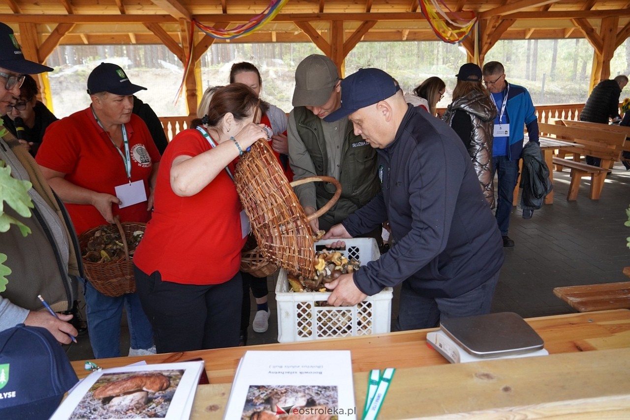 V Kurpiowskie Grzybobranie [27.09.2025] - zdjęcie #112 - eOstroleka.pl