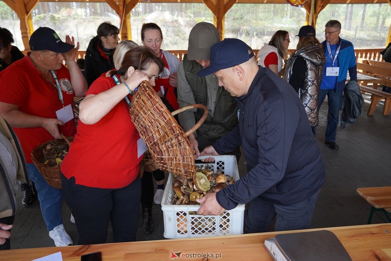 V Kurpiowskie Grzybobranie [27.09.2025] - zdjęcie #111 - eOstroleka.pl