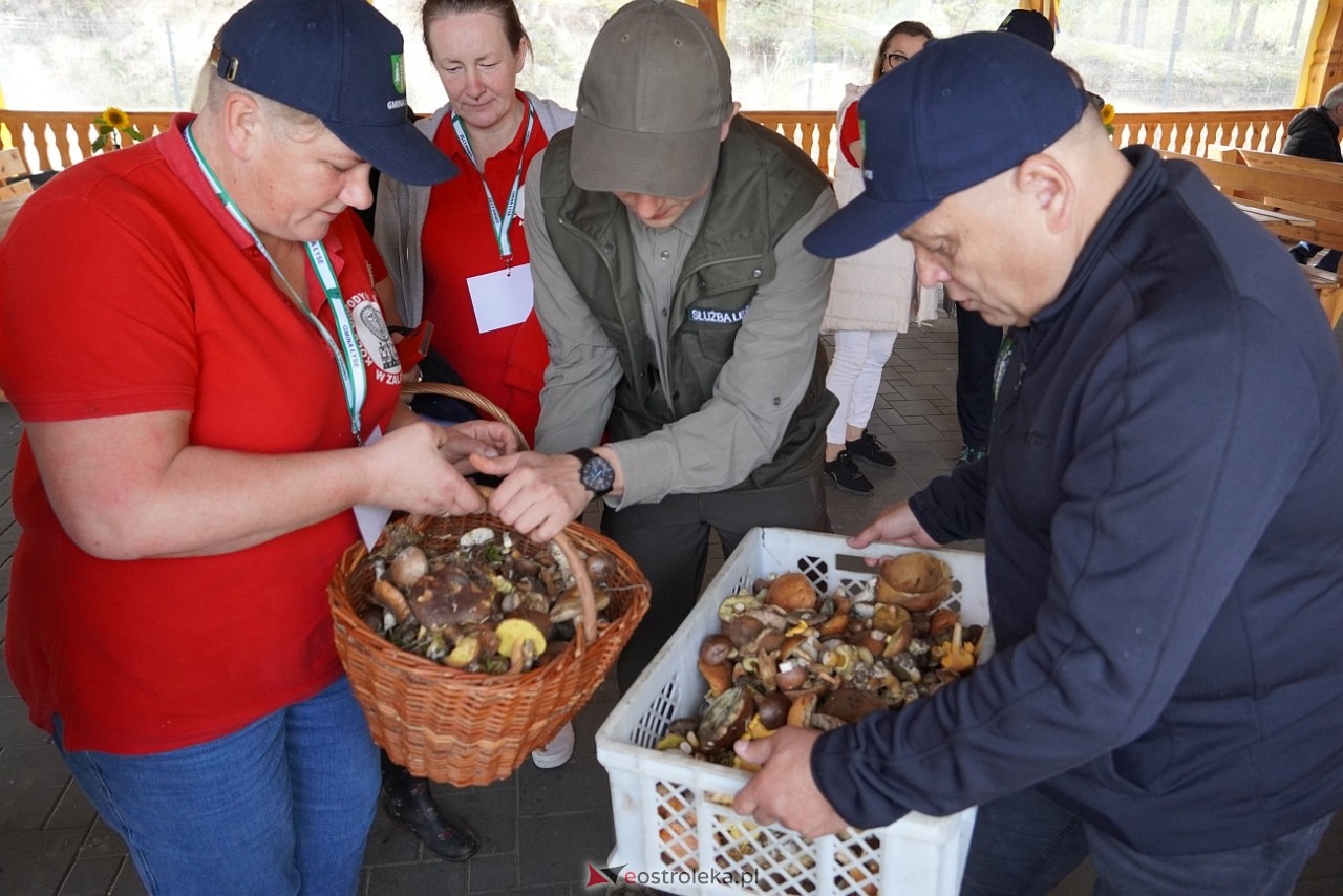 V Kurpiowskie Grzybobranie [27.09.2025] - zdjęcie #109 - eOstroleka.pl