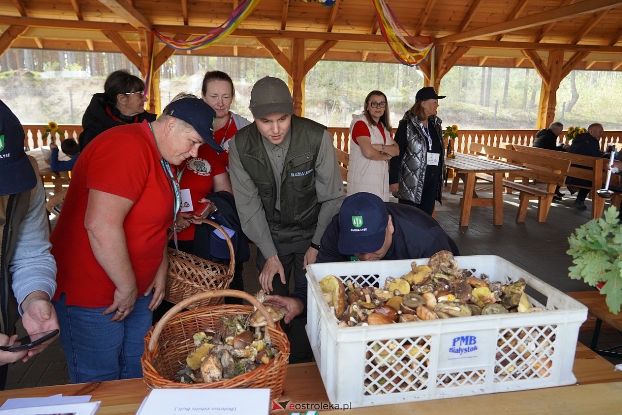 V Kurpiowskie Grzybobranie [27.09.2025] - zdjęcie #108 - eOstroleka.pl