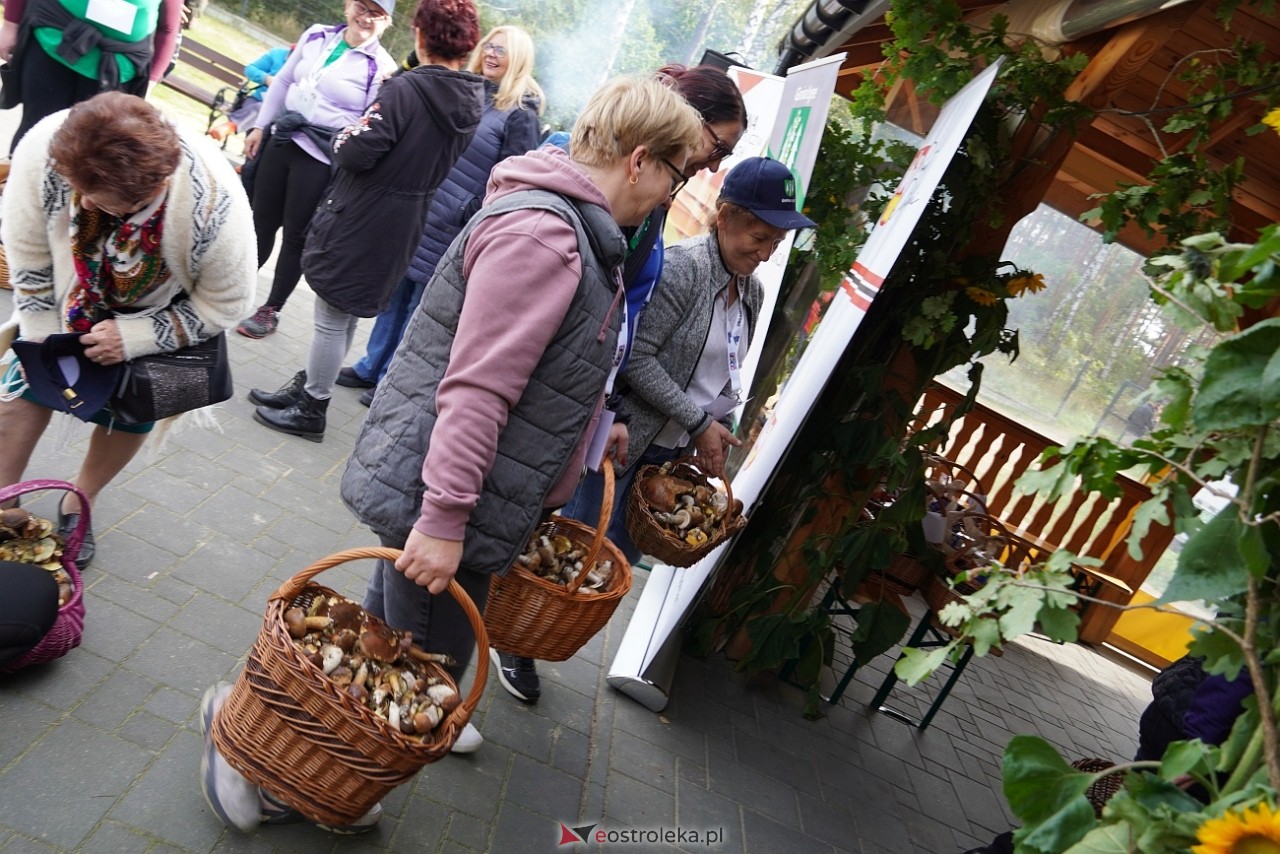 V Kurpiowskie Grzybobranie [27.09.2025] - zdjęcie #88 - eOstroleka.pl