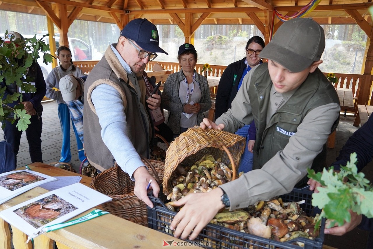 V Kurpiowskie Grzybobranie [27.09.2025] - zdjęcie #82 - eOstroleka.pl