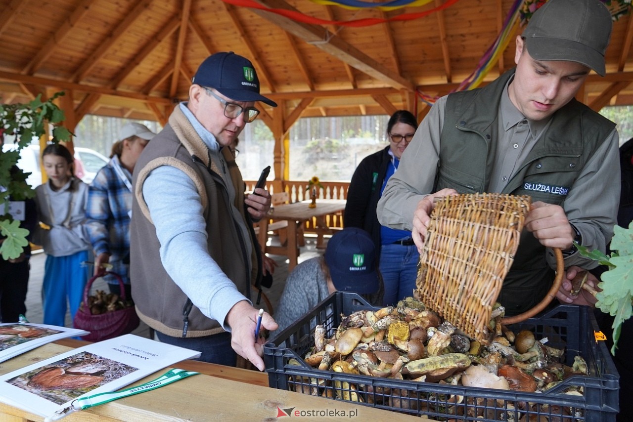 V Kurpiowskie Grzybobranie [27.09.2025] - zdjęcie #81 - eOstroleka.pl