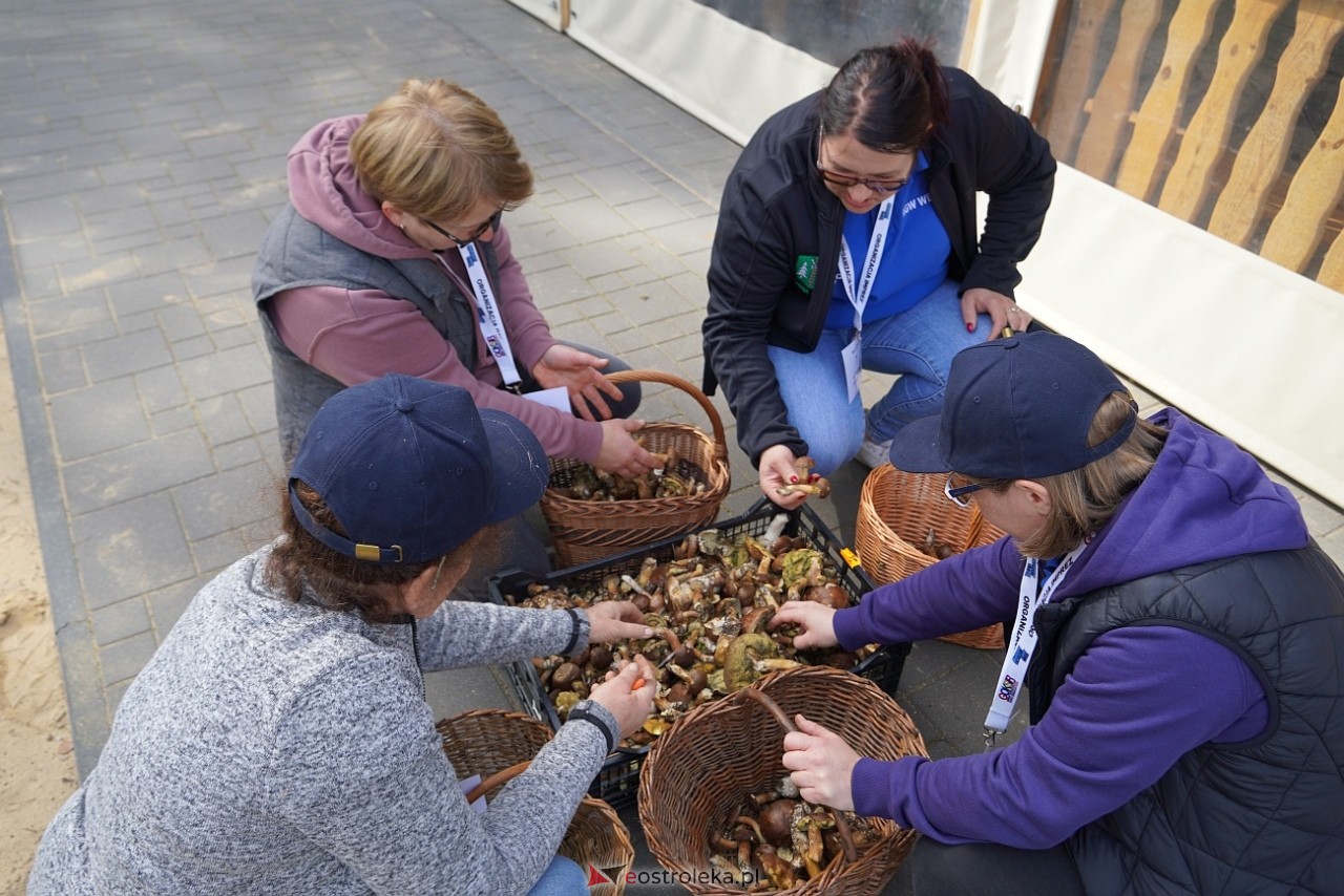 V Kurpiowskie Grzybobranie [27.09.2025] - zdjęcie #76 - eOstroleka.pl