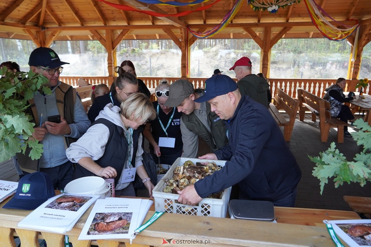 V Kurpiowskie Grzybobranie [27.09.2025] - zdjęcie #69 - eOstroleka.pl