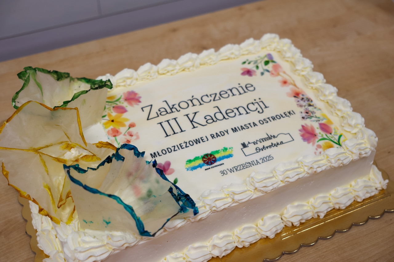 Podsumowanie III kadencji Młodzieżowej Rady Miasta [02.10.2025] - zdjęcie #17 - eOstroleka.pl