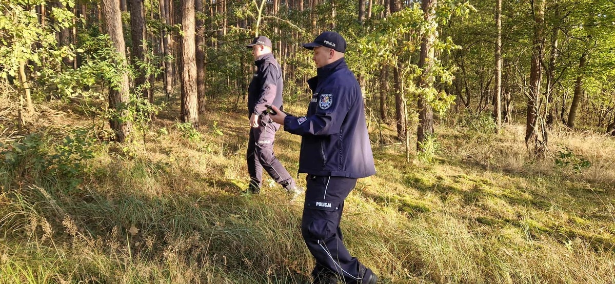 Akcja poszukiwawcza za zaginionym seniorem z Kaszewca [03.10.2025] - zdjęcie #5 - eOstroleka.pl