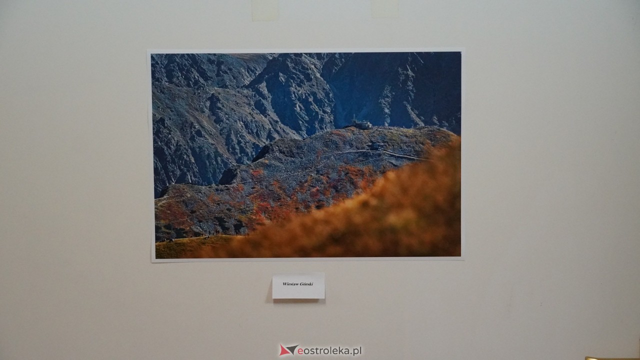 XVII edycja Festiwalu OFF. Galeria Bezdomna [05.10.2025] - zdjęcie #75 - eOstroleka.pl