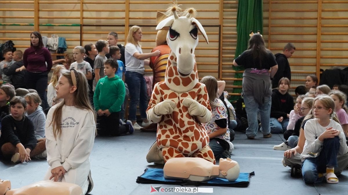 Kadzidło dołożyło swoją cegiełkę do ogólnopolskiego rekordu WOŚP! Lokalna społeczność uczyła się ratować życie z wielkim sercem [16.10.2025] - zdjęcie #72 - eOstroleka.pl