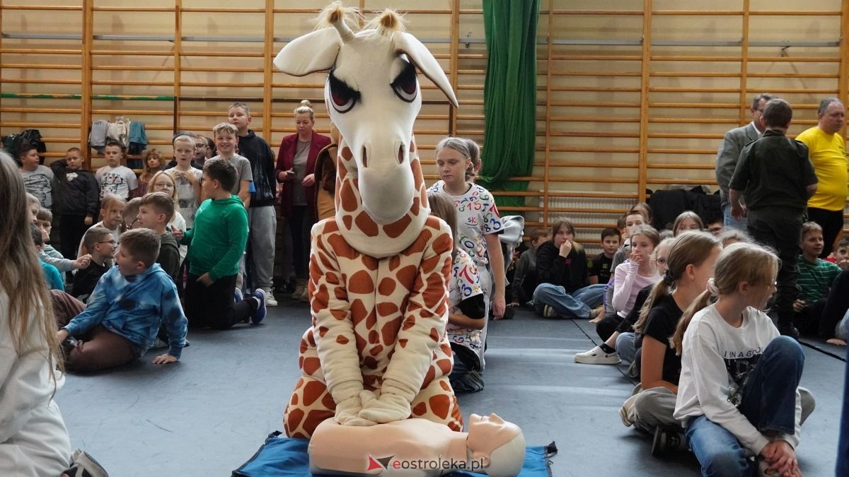 Kadzidło dołożyło swoją cegiełkę do ogólnopolskiego rekordu WOŚP! Lokalna społeczność uczyła się ratować życie z wielkim sercem [16.10.2025] - zdjęcie #66 - eOstroleka.pl