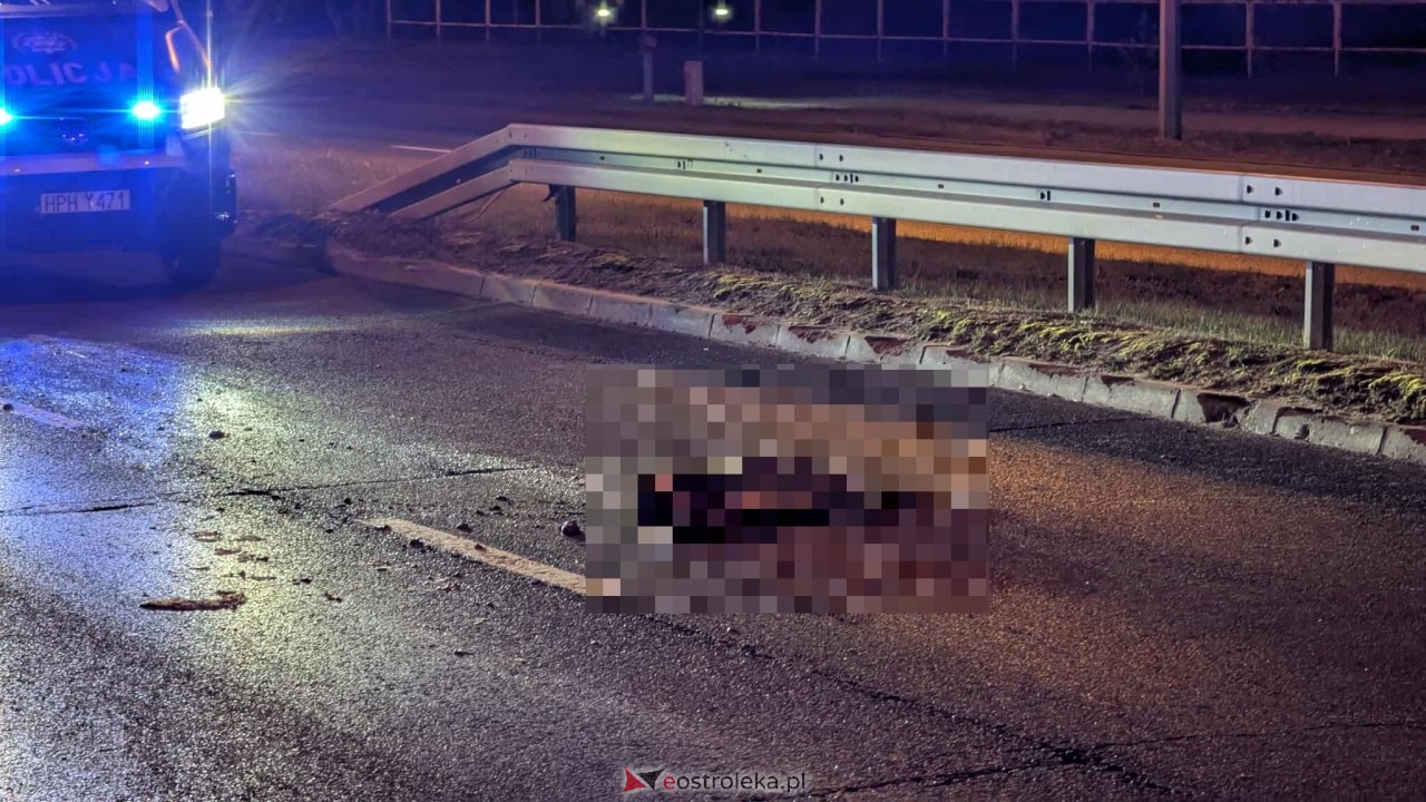 Zderzenie z sarną na obwodnicy [17.10.2025] - zdjęcie #11 - eOstroleka.pl