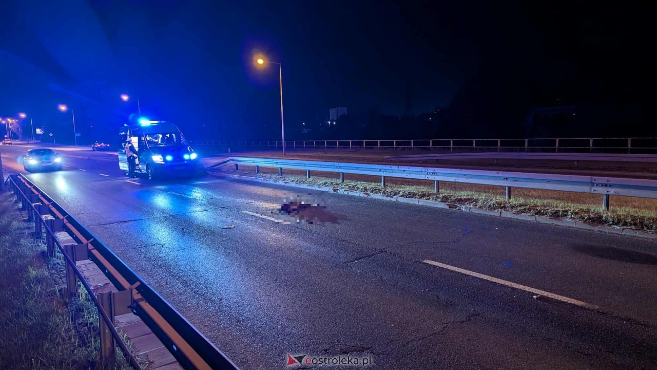 Zderzenie z sarną na obwodnicy [17.10.2025] - zdjęcie #9 - eOstroleka.pl