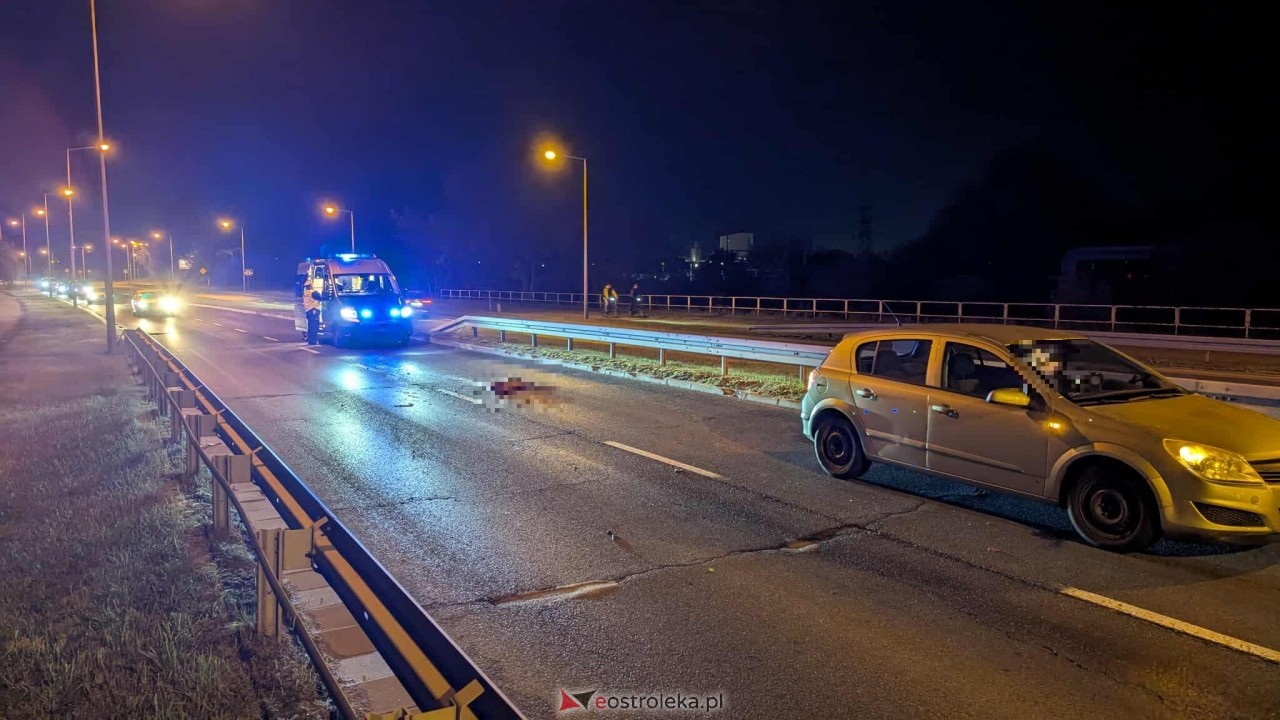 Zderzenie z sarną na obwodnicy [17.10.2025] - zdjęcie #8 - eOstroleka.pl