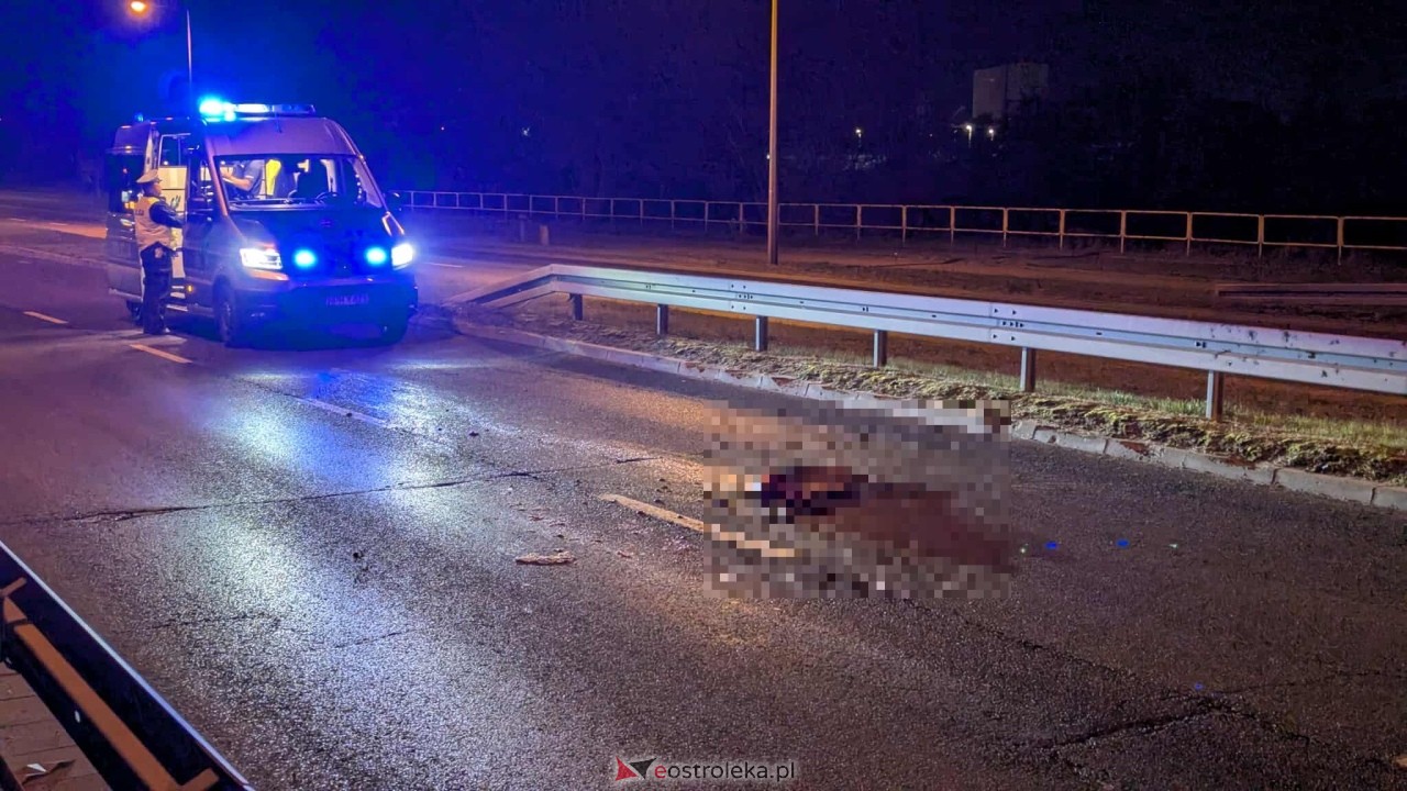 Zderzenie z sarną na obwodnicy [17.10.2025] - zdjęcie #2 - eOstroleka.pl
