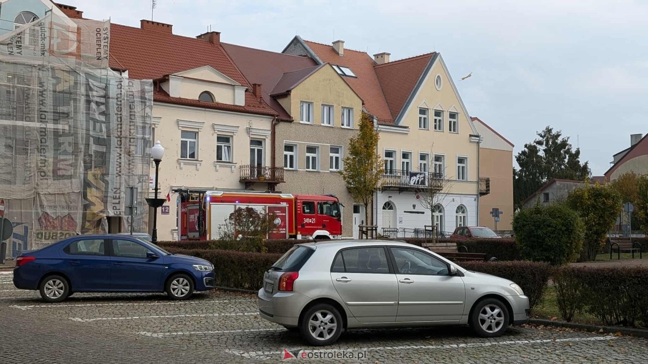 Incydent z osami w ostrołęckim sądzie [23.10.2025] - zdjęcie #11 - eOstroleka.pl