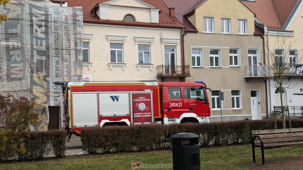 Incydent z osami w ostrołęckim sądzie [23.10.2025] - zdjęcie #10 - eOstroleka.pl