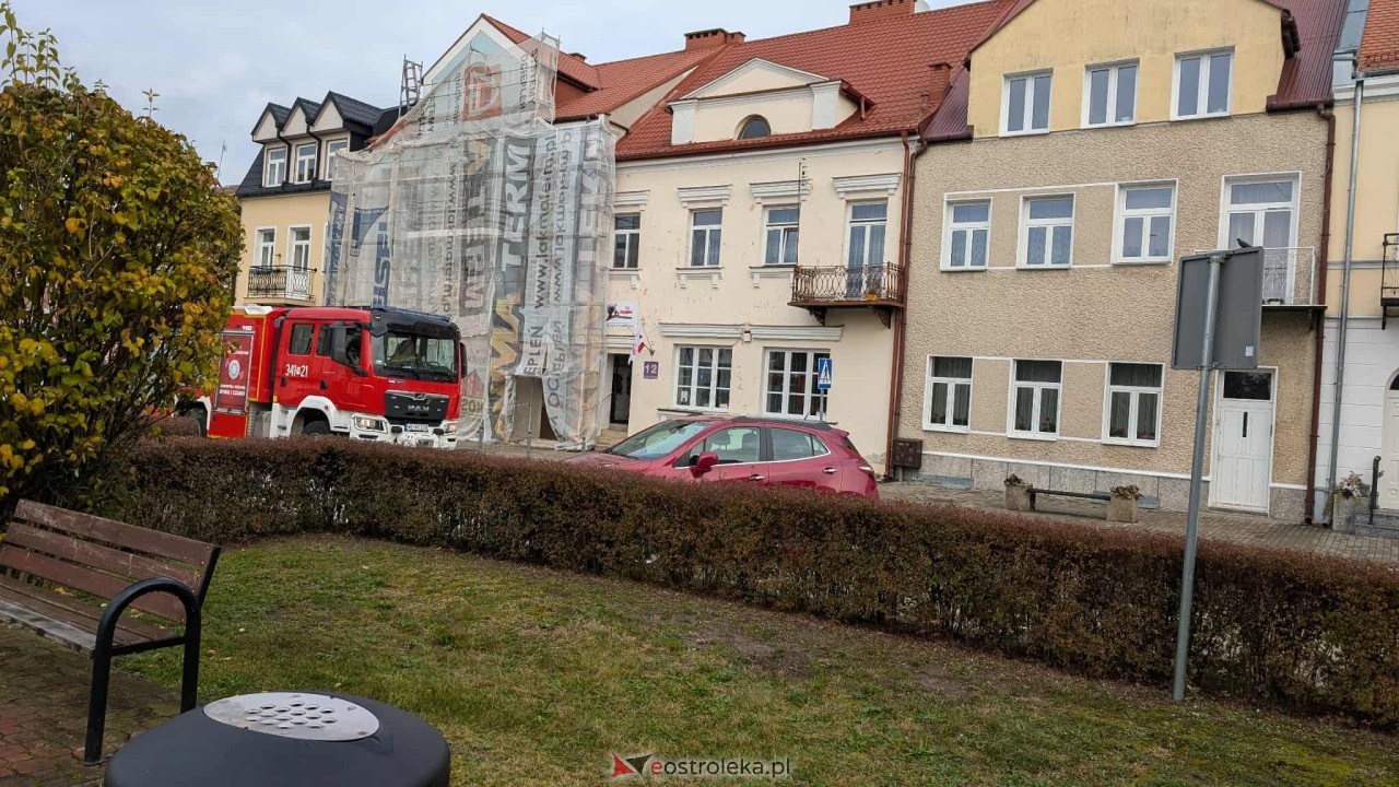 Incydent z osami w ostrołęckim sądzie [23.10.2025] - zdjęcie #9 - eOstroleka.pl