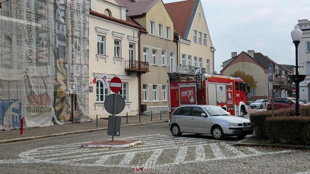 Incydent z osami w ostrołęckim sądzie [23.10.2025] - zdjęcie #8 - eOstroleka.pl