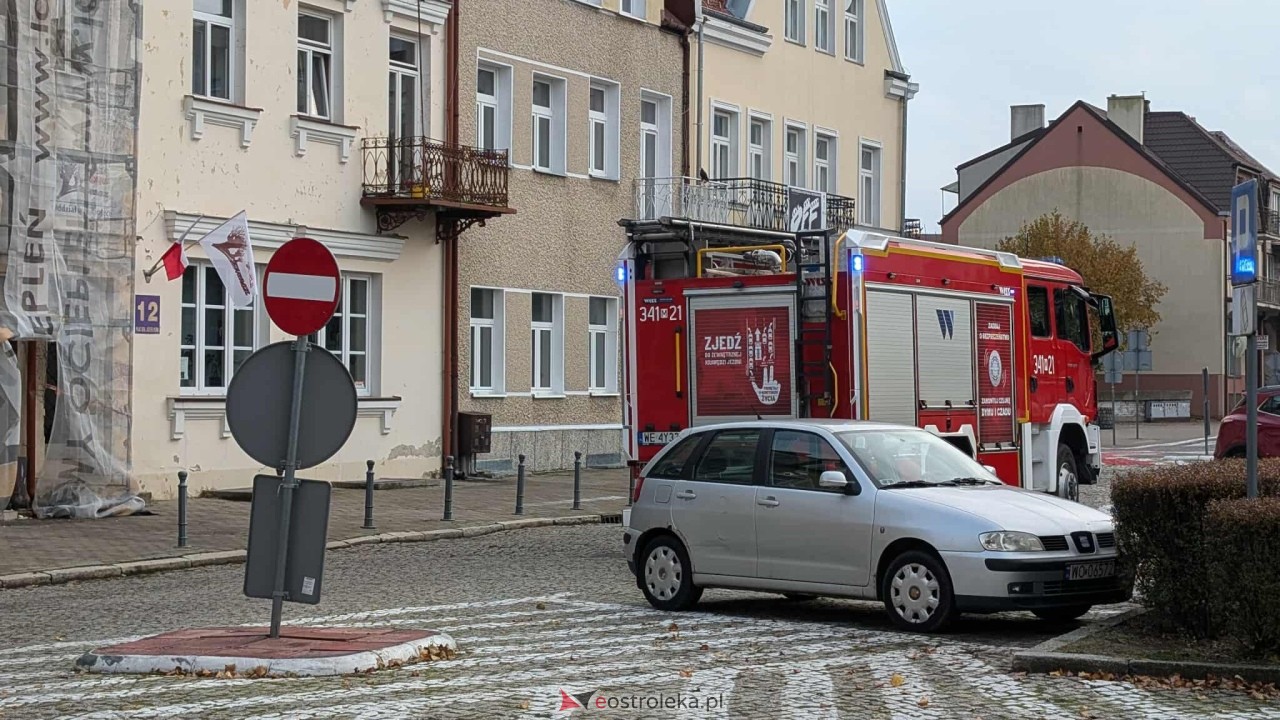 Incydent z osami w ostrołęckim sądzie [23.10.2025] - zdjęcie #7 - eOstroleka.pl