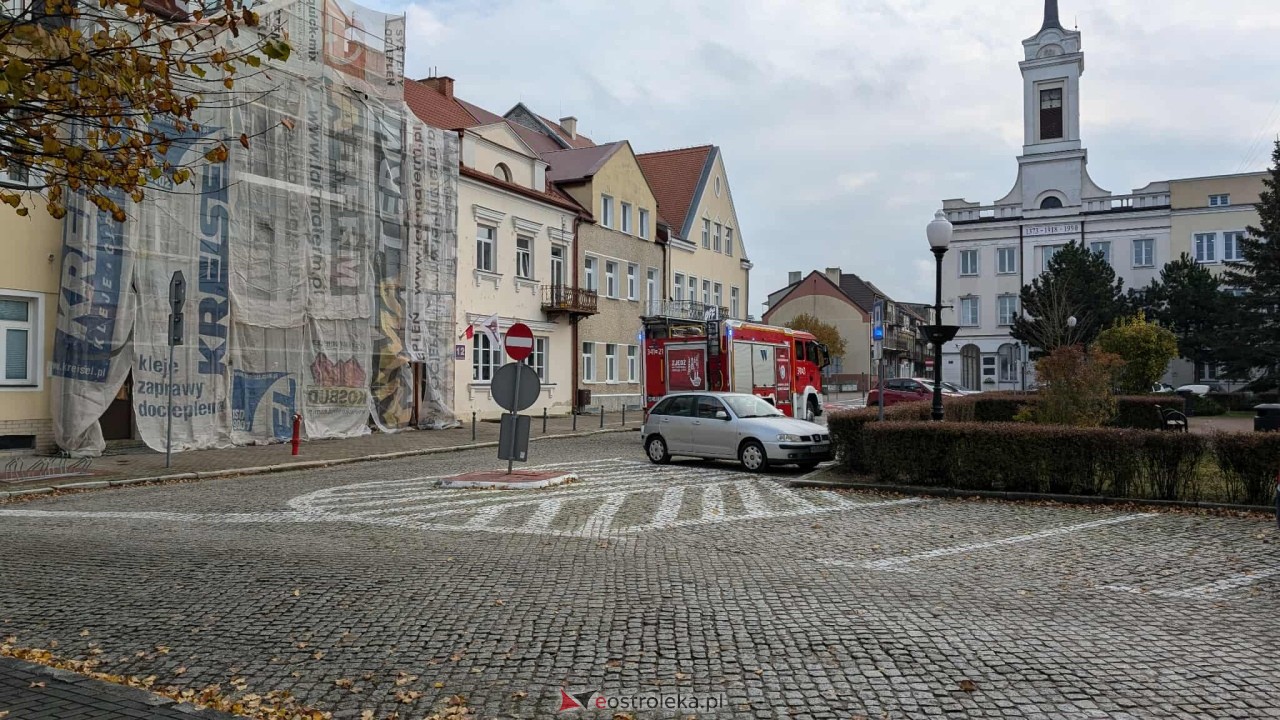 Incydent z osami w ostrołęckim sądzie [23.10.2025] - zdjęcie #6 - eOstroleka.pl