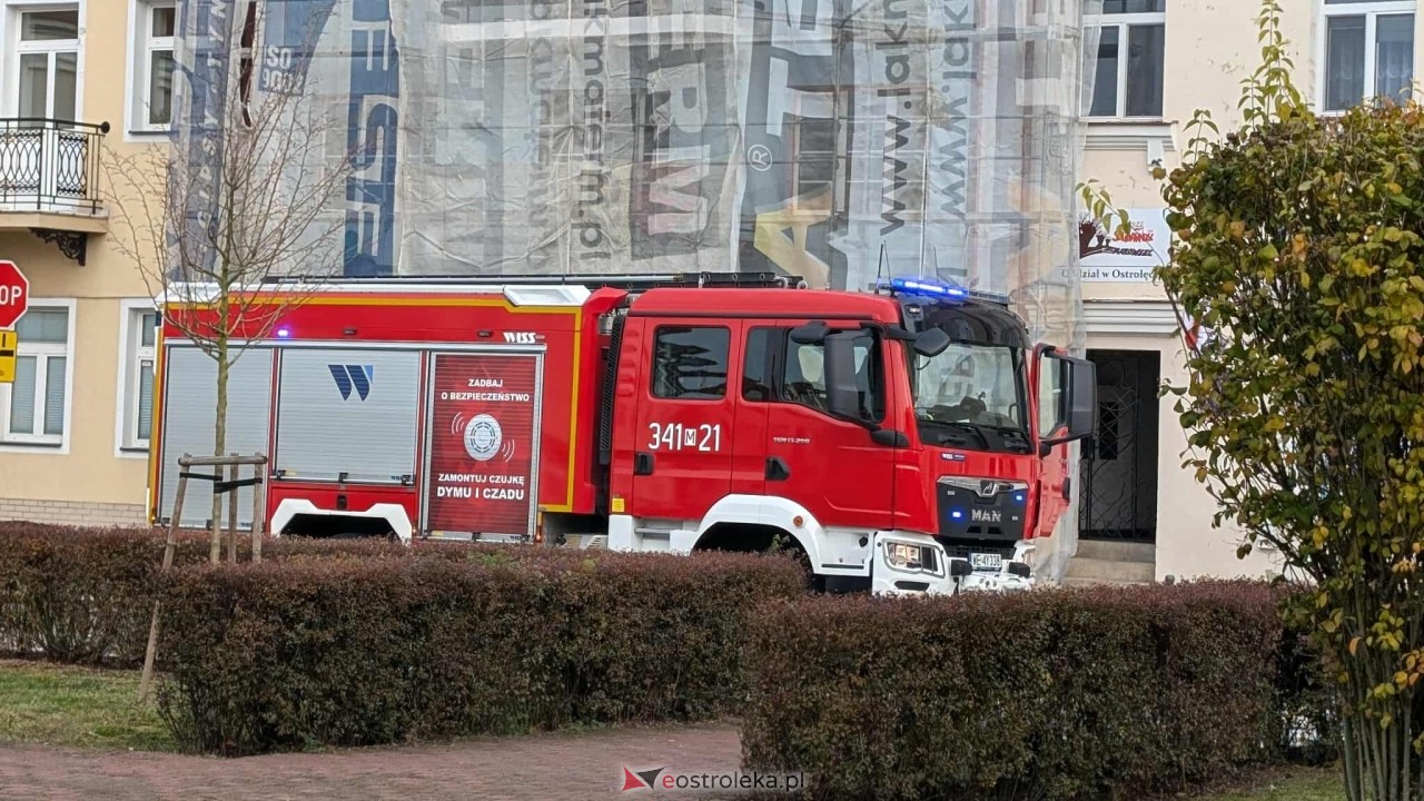 Incydent z osami w ostrołęckim sądzie [23.10.2025] - zdjęcie #5 - eOstroleka.pl