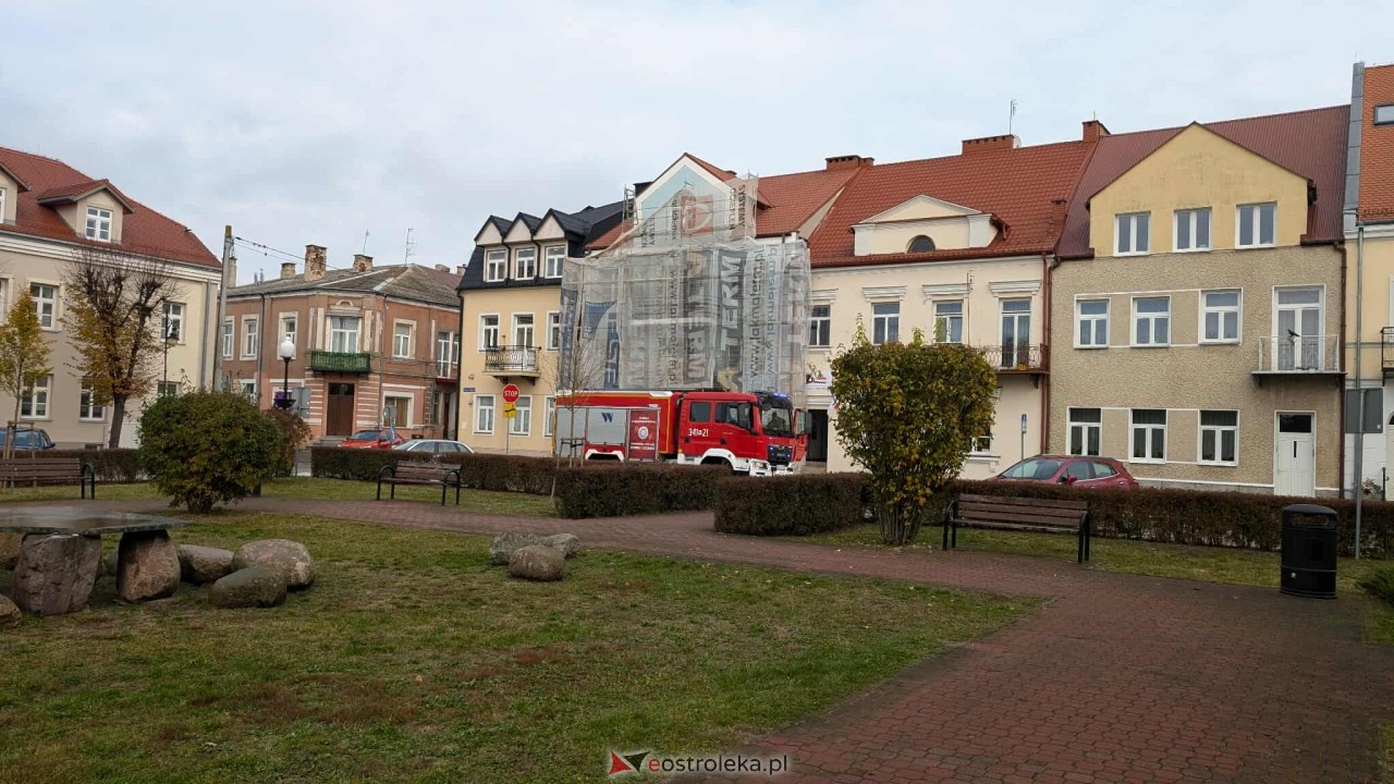 Incydent z osami w ostrołęckim sądzie [23.10.2025] - zdjęcie #3 - eOstroleka.pl