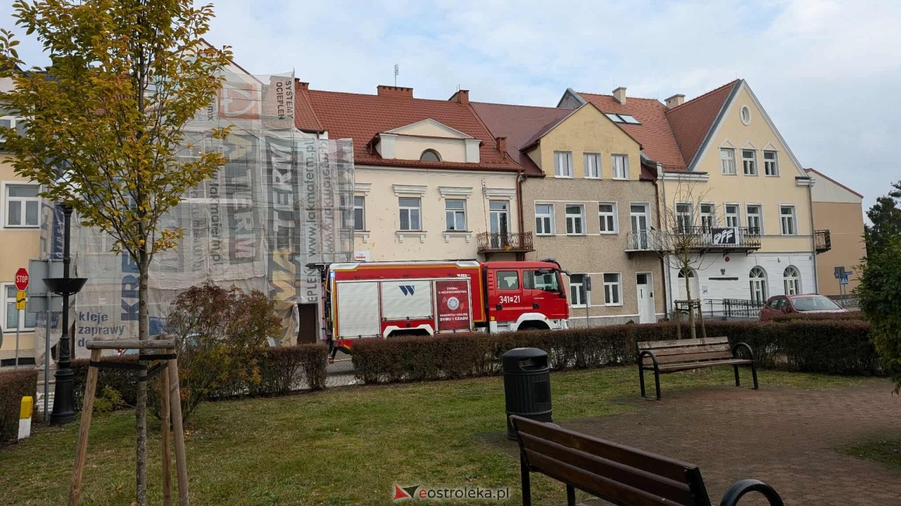 Incydent z osami w ostrołęckim sądzie [23.10.2025] - zdjęcie #2 - eOstroleka.pl