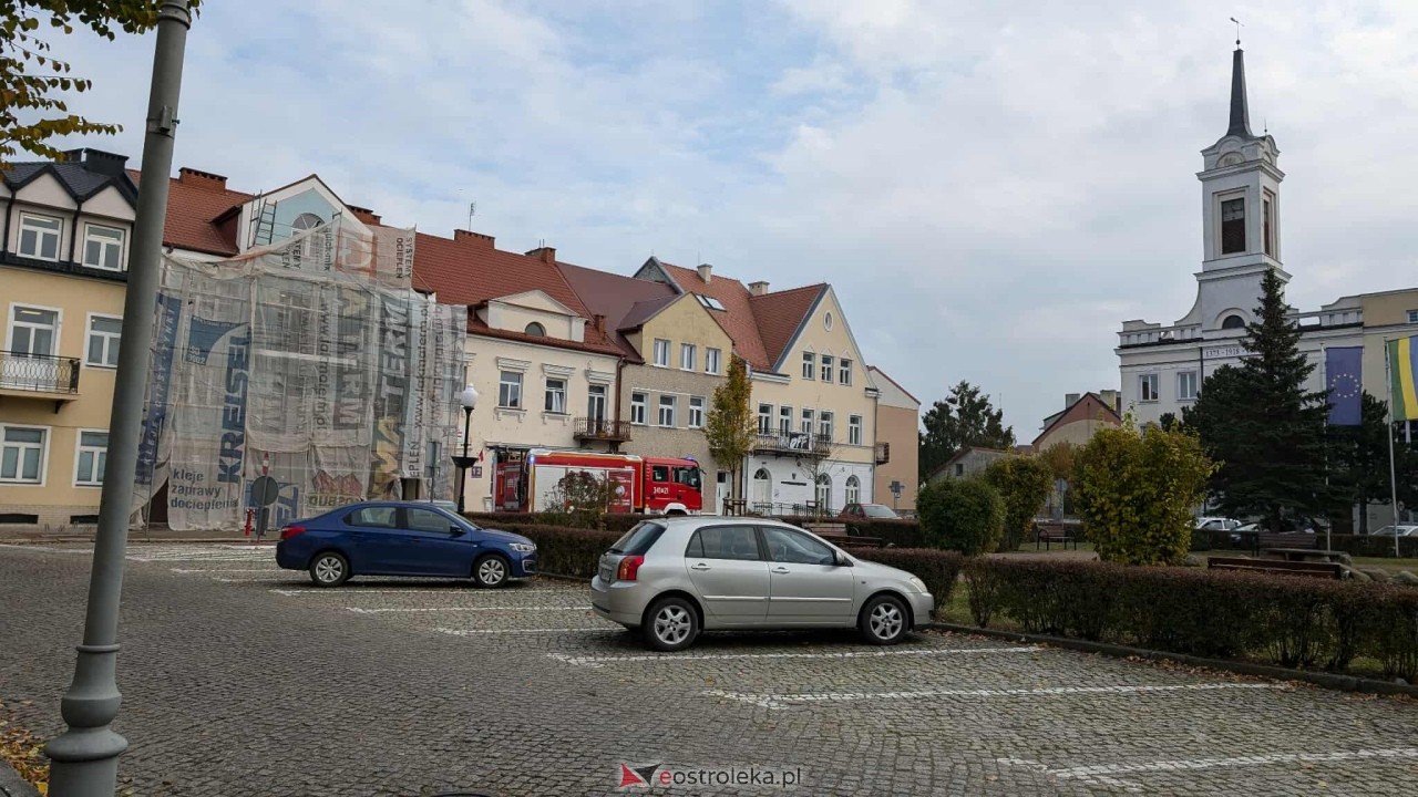 Incydent z osami w ostrołęckim sądzie [23.10.2025] - zdjęcie #1 - eOstroleka.pl