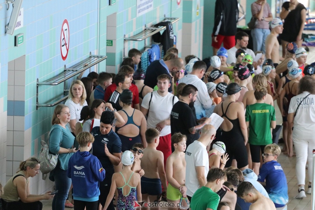 Mistrzostwa Ostrołęki w pływaniu [25.10.2025] - zdjęcie #76 - eOstroleka.pl
