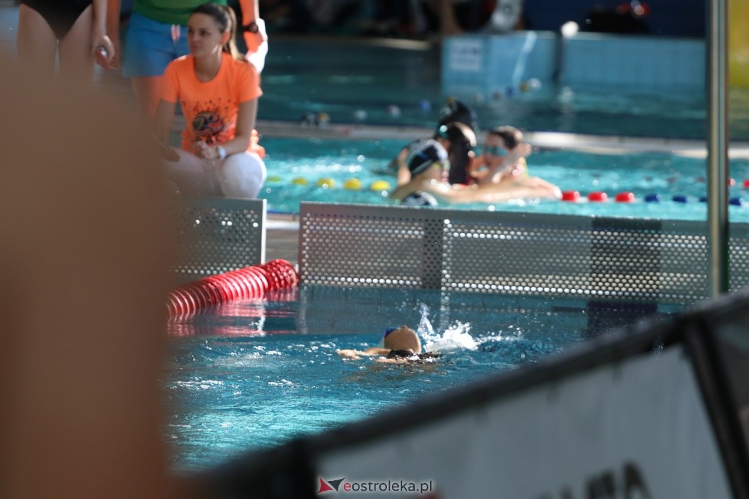 Mistrzostwa Ostrołęki w pływaniu [25.10.2025] - zdjęcie #74 - eOstroleka.pl