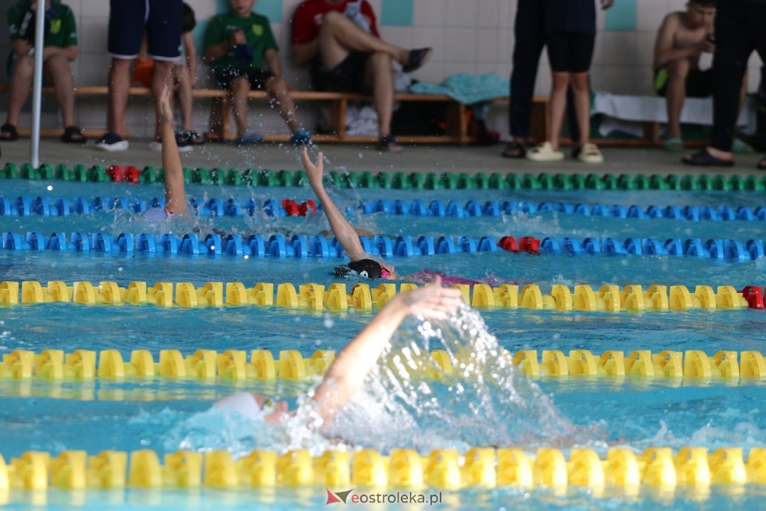 Mistrzostwa Ostrołęki w pływaniu [25.10.2025] - zdjęcie #24 - eOstroleka.pl
