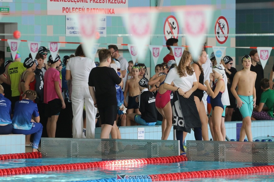 Mistrzostwa Ostrołęki w pływaniu [25.10.2025] - zdjęcie #1 - eOstroleka.pl