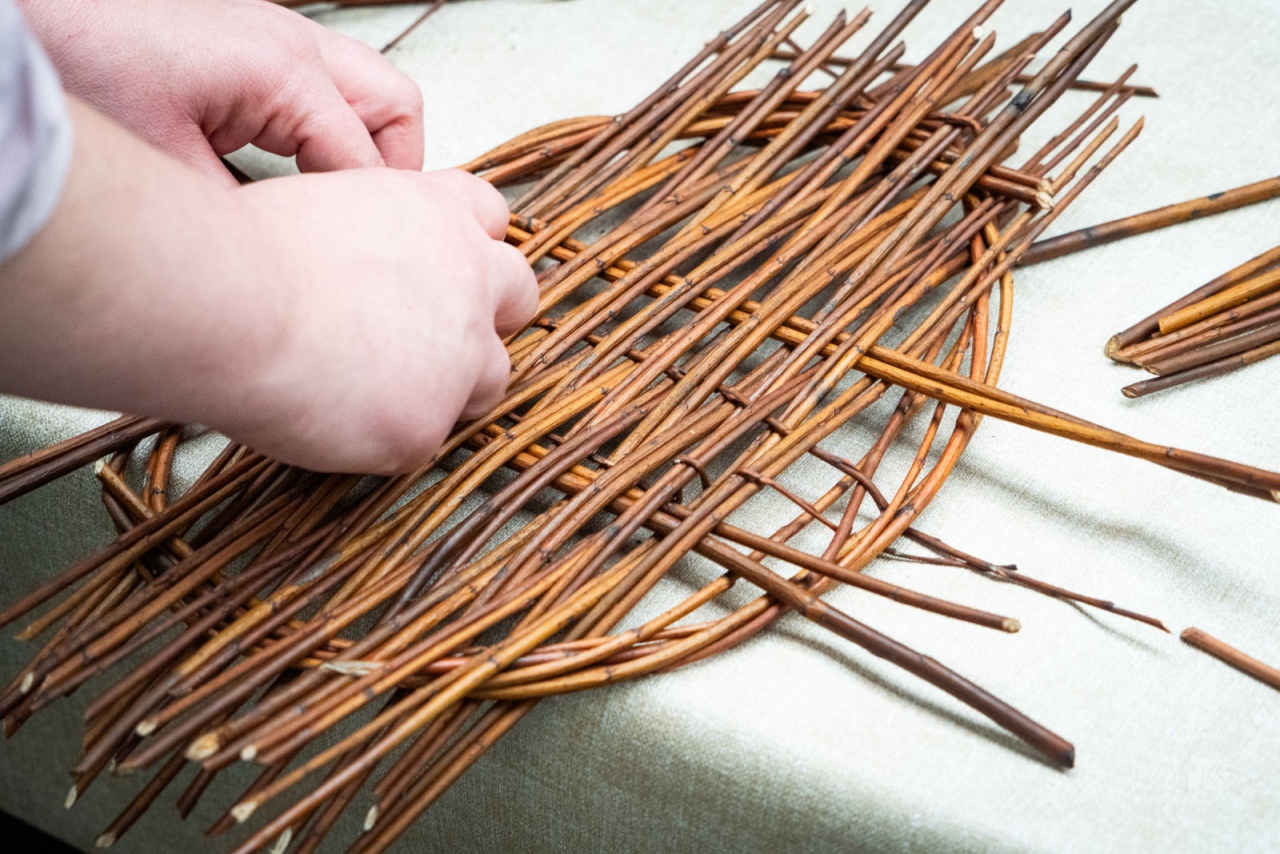 Podsumowanie warsztatów plecionkarskich w Muzeum Kultury Kurpiowskiej [29.10.2025] - zdjęcie #12 - eOstroleka.pl