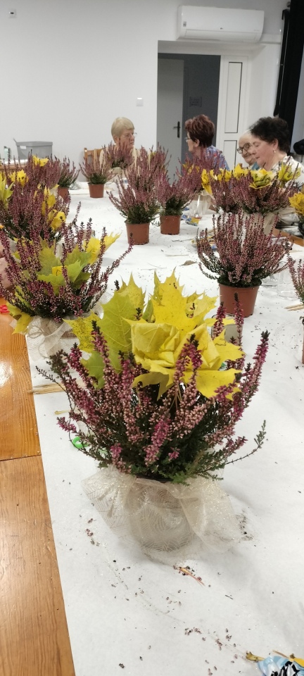 Wrzosowe inspiracje w Lelisie: seniorzy rozkwitają kreatywnością [30.10.2025] - zdjęcie #7 - eOstroleka.pl