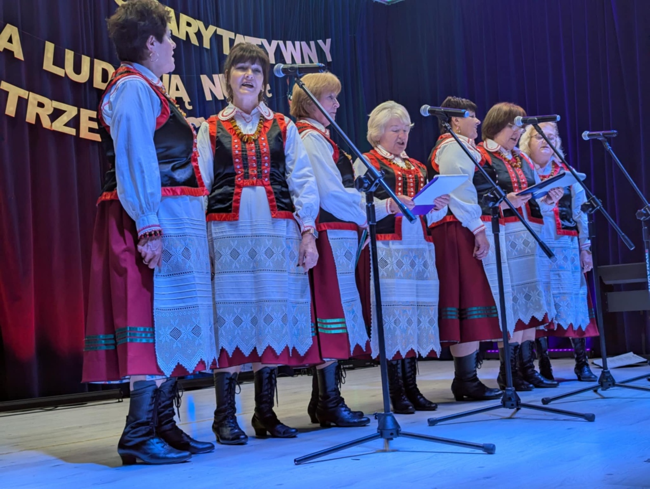 Koncert charytatywny w Goworowie [6.11.2025] - zdjęcie #15 - eOstroleka.pl