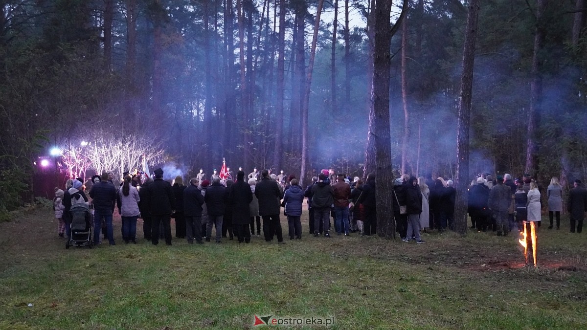 Uroczystość Za Obrońców Ojczyzny w Kamiance [08.11.2025] - zdjęcie #112 - eOstroleka.pl