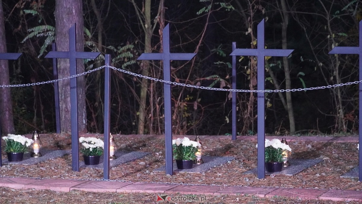Uroczystość Za Obrońców Ojczyzny w Kamiance [08.11.2025] - zdjęcie #82 - eOstroleka.pl