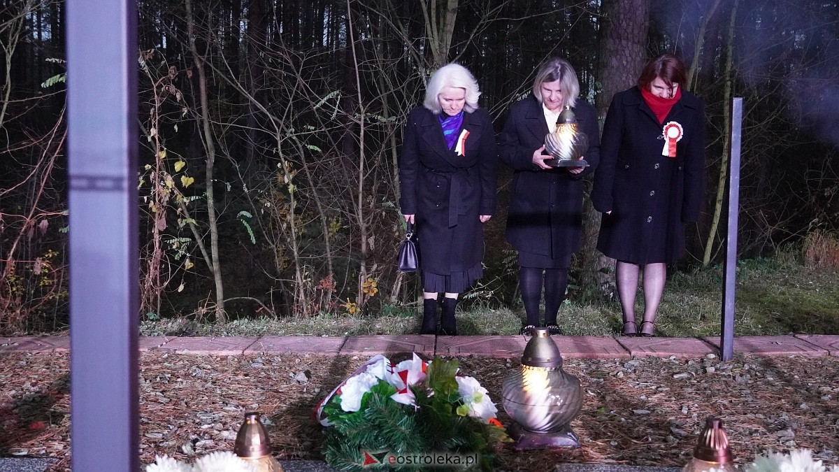 Uroczystość Za Obrońców Ojczyzny w Kamiance [08.11.2025] - zdjęcie #68 - eOstroleka.pl