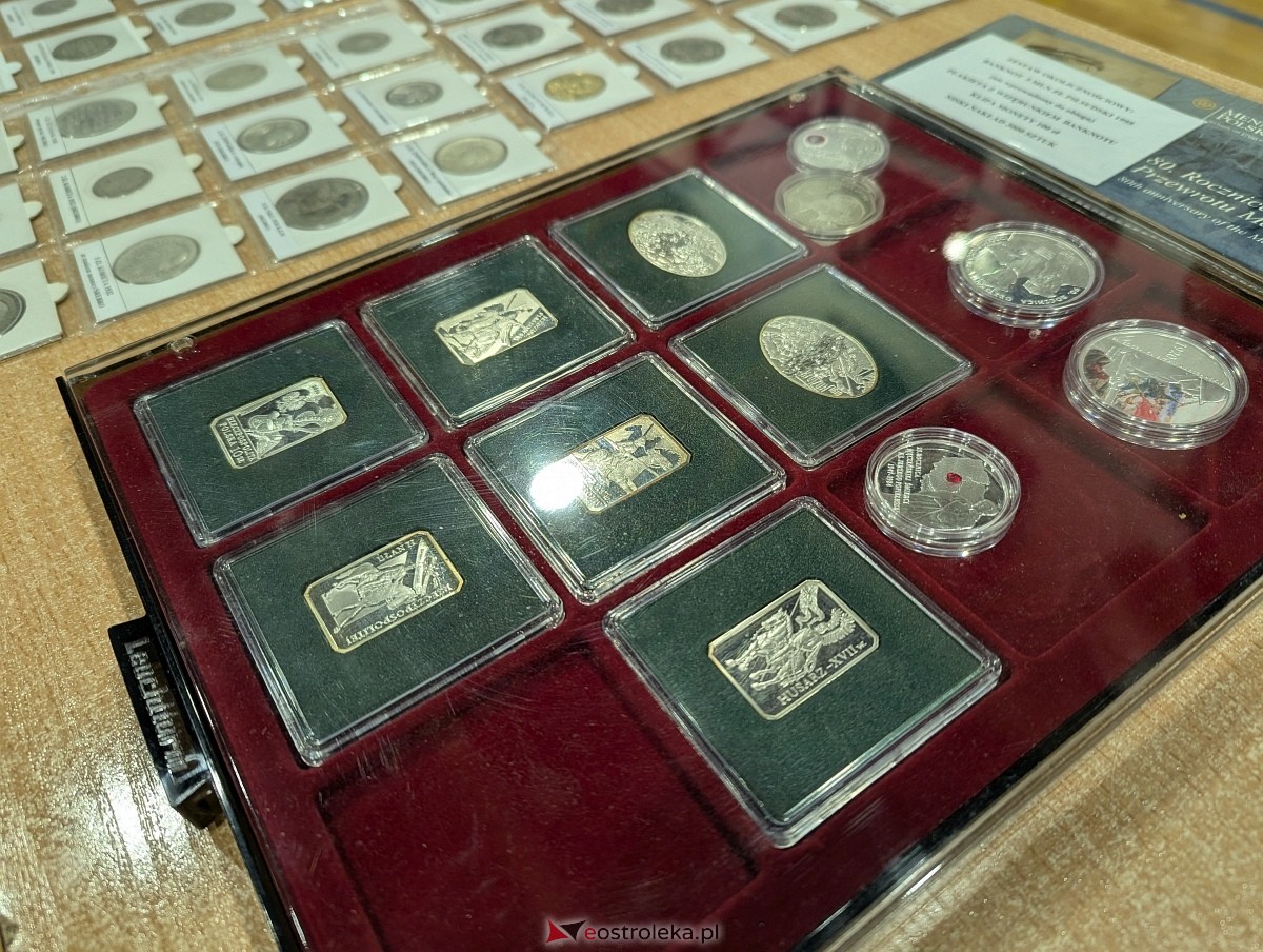 Piknik Patriotyczny w Olszewie-Borkach [16.11.2025] - zdjęcie #61 - eOstroleka.pl